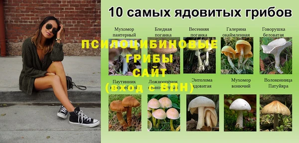 герыч Нязепетровск