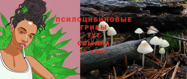 герыч Нязепетровск